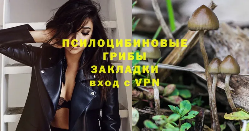 Псилоцибиновые грибы Psilocybe  MEGA ССЫЛКА  Бахчисарай 